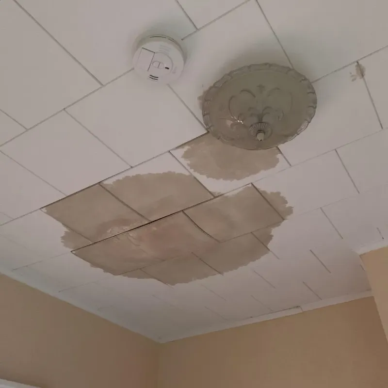 Ceiling Water Damage Repair in West Tisbury, MA