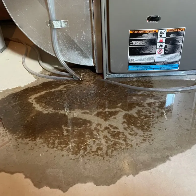 Pipe Burst and Leak Restoration in West Tisbury, MA